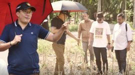 Wakil Bupati Boalemo, Lahmuddin Hambali turun langsung cek kondisi lahan bibit durian. dok/@kominfo.boalemo