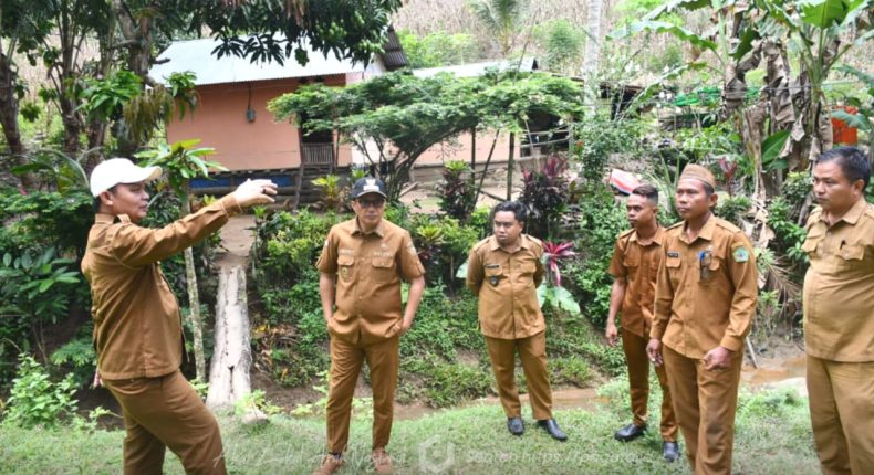 foto slider headline