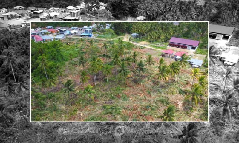 Berubah Total! Desa Girisa Bersiap Tampil dengan Wajah Baru yang Lebih Modern, Panataan ini Sedikit lagi Rampung. Foto/@ist
