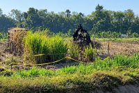 Lokasi Penemuan Tengkorak Manusia. Foto/@ist.