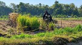 Lokasi Penemuan Tengkorak Manusia. Foto/@ist.