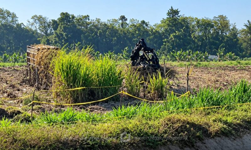Lokasi Penemuan Tengkorak Manusia. Foto/@ist.