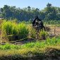 Lokasi Penemuan Tengkorak Manusia. Foto/@ist.